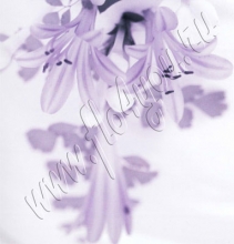 kniga1_046
